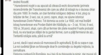 Sabin Gherman ar vrea sa-i faca pe romani iobagi pentru unguri