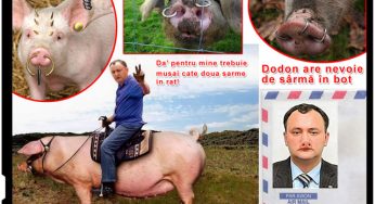 Dodon are nevoie de sarma in bot