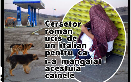 Cersetor roman ucis in bataie de catre un italian pentru ca i-a mangaiat acestuia cainele