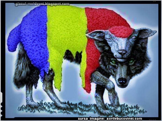 Herţa atacată de lupi în piele de oaie, sursa imagine: zorilebucovinei.com