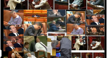 Legea care ii scapa pe parlamentarii care isi angajeaza rudele, adoptata tacit de Senat
