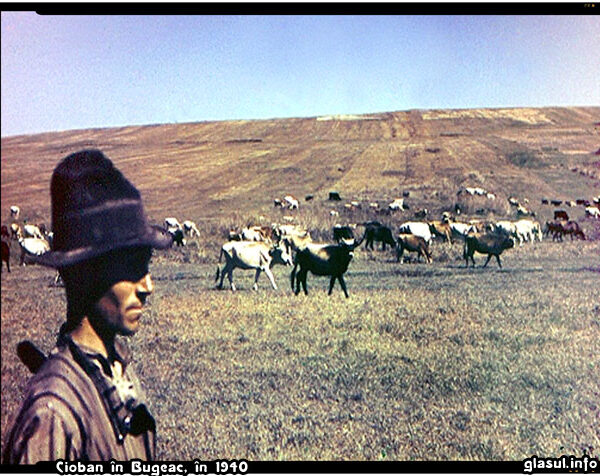 Cioban în Bugeac, în 1940