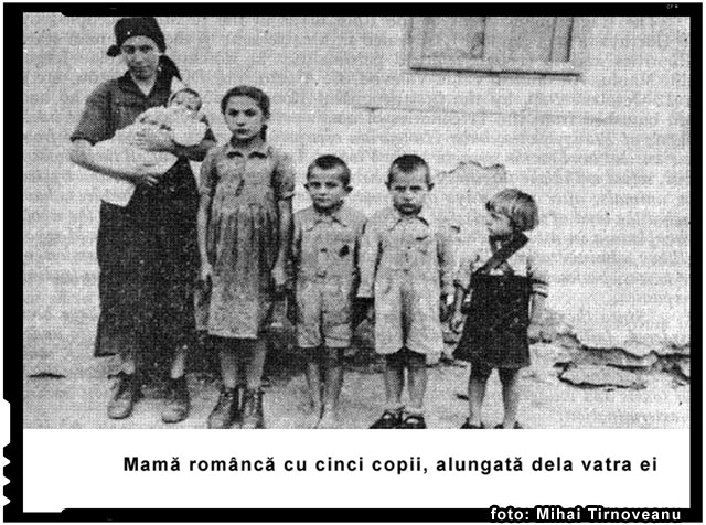 Declaraţii redactate de refugiaţi şi expulzaţi români din localităţile judeţului Covasna, foto: Mihai Tirnoveanu