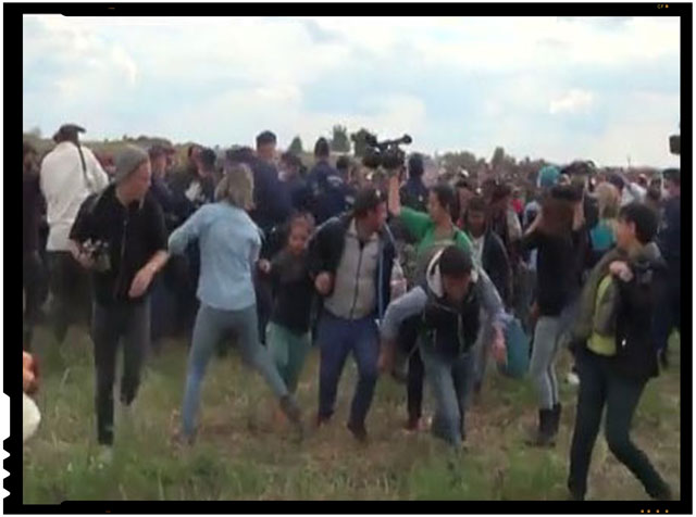 Gest reprobabil al unei femei cameraman din Ungaria. Loveste cu piciorul refugiatii care fug de politia maghiara