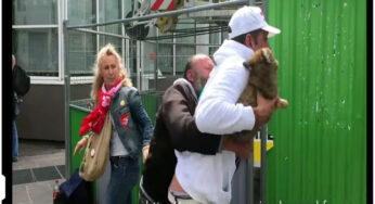 Peste 100.000 de francezi au sarit in ajutorul unui roman fara adapost din Paris