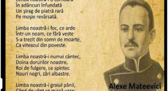O NOUĂ LOVITURĂ ÎN INIMA LIMBII ROMÂNE primita de romanii din Ucraina