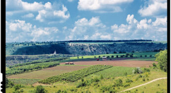Romanii doresc sa faca investitii in Republica Moldova. Agricultura, domeniu prioritar