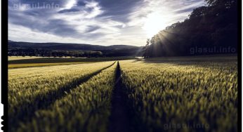 Strainii vor fi stopati sa mai cumpere pamant in Romania?