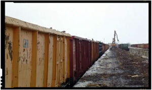 Statul roman permite Schweighofer-ului importul lemnului "radioactiv" din Ucraina?, Foto: captura video Facebook