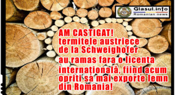AM CASTIGAT! Termitele austriece de la Schweighofer au ramas fara o licenta internațională, fiind acum opriti sa mai exporte lemn din Romania!