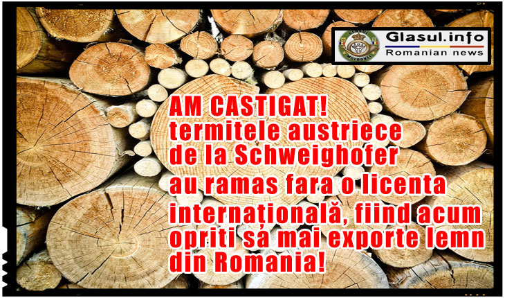AM CASTIGAT! Termitele austriece de la Schweighofer au ramas fara o licenta internațională, fiind acum opriti sa mai exporte lemn din Romania!