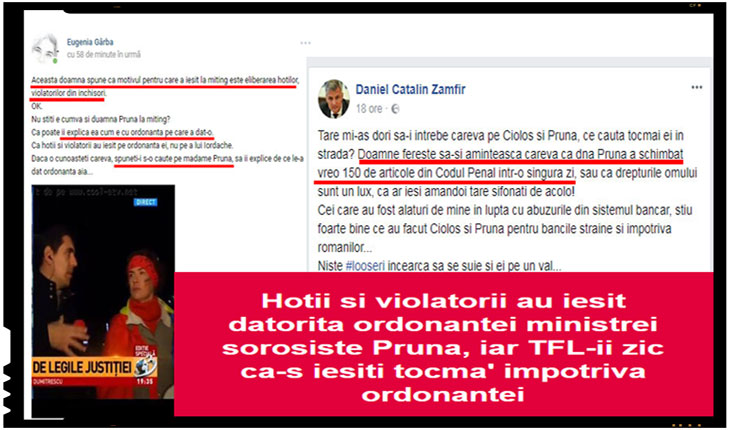 Daniel Catalin Zamfir, senator PNL: "Tare mi-as dori sa-i intrebe careva pe Ciolos si Pruna, ce cauta tocmai ei in strada?"
