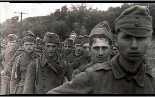 Armata a II-a a Ungariei, compusa din 256 000 combatanţi, dintre care cca 150 000 erau români, iar ceilalţi proveneau din rându­rile altor naţionalităţi