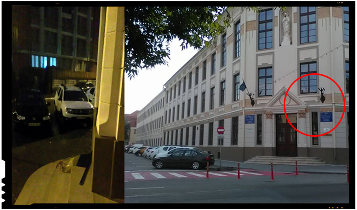 Neglijență sau antiromânism la o instituție de învățământ din Satu Mare? Steagul României aruncat pe jos de pe clădirea unui liceu maghiar, Foto: Alexandru Cosma