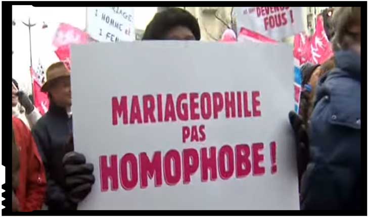 Protestele din Franța împotriva legalizării căsătoriilor între persoane de același sex, Foto: Al Jazeera