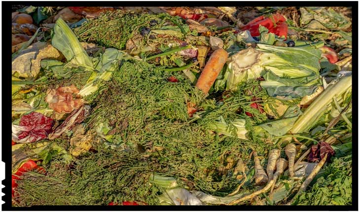 FAO sprijină statele din Europa de Sud-Est în reducerea risipei de alimente