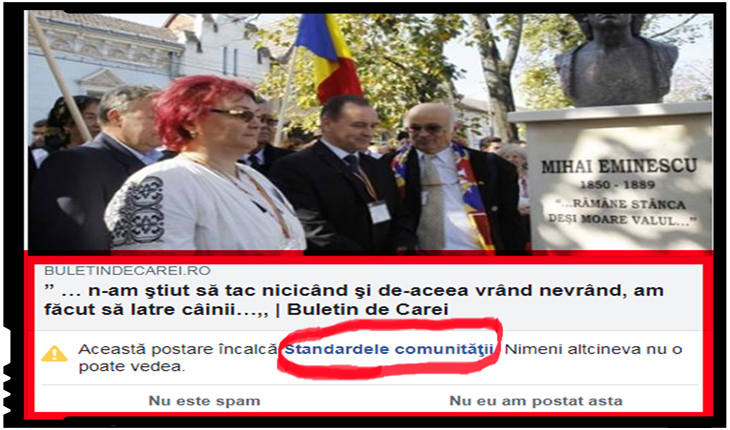 Vocile care se ridică pentru a apăra drepturile românilor de la Carei, sistematic cenzurate, Foto: Buletin de Carei