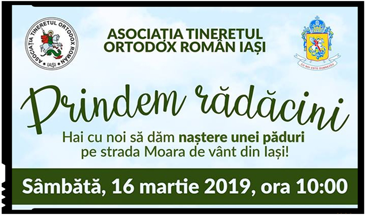 Campanie de împădurire la Iași inițiată de o asociație de tineret, Foto: facebook.com/iasi.ator