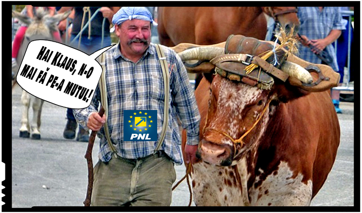 Caramitru lovește din nou: Votanții PNL sunt mai țărani decât cei care votează PSD, și la fel de săraci și slab educați