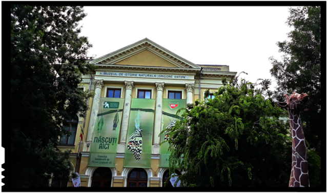 MuzeuMuzeul Național de Istorie Naturală „Grigore Antipa”l Național de Istorie Naturală „Grigore Antipa”