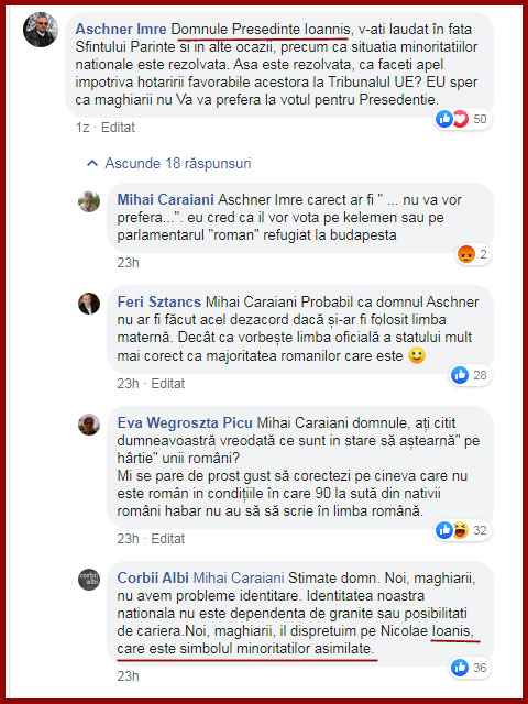 Discriminare între minoritari? Corbii Albi: Noi, maghiarii, îl disprețuim pe Iohannis, care este simbolul minorităților asimilate, Foto: Facebook / Corbii Albi