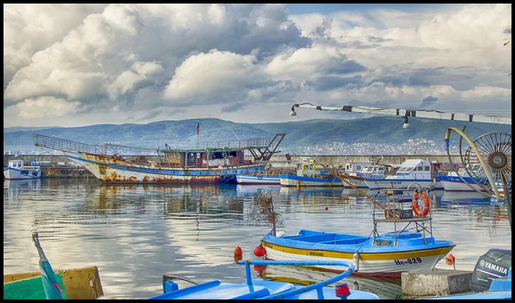 Ziua Mondială a Pescuitului: țările riverane Mării Negre se reunesc pentru a asigura sustenabilitatea resurselor marine