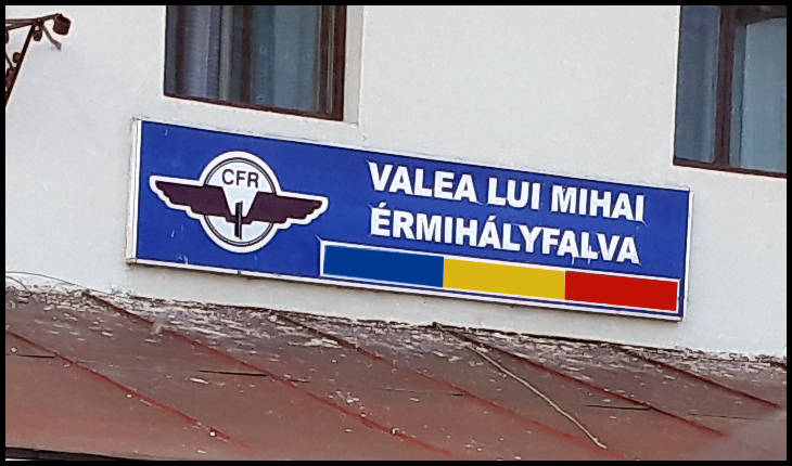 Altercație în tren provocată de migranți libieni la Valea lui Mihai: au încercat să-i jefuiască pe pasageri!