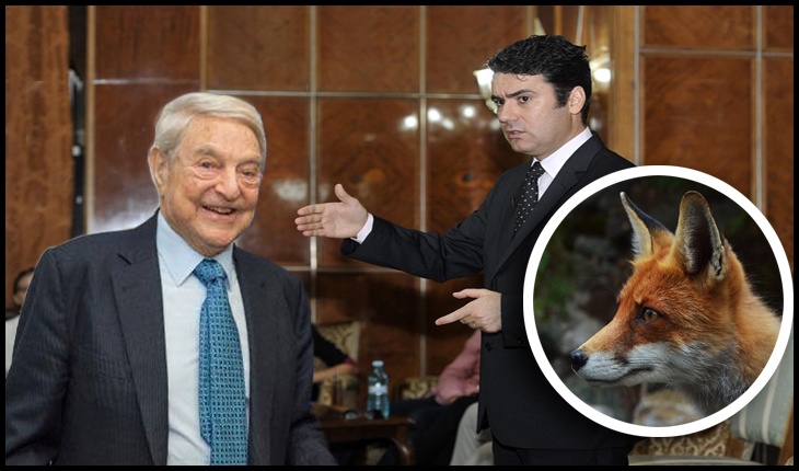 (VIDEO) Vulpea fără cetățenie a lui Remus Pricopie vrea la Palatul Victoria?, Foto original: gov.ro