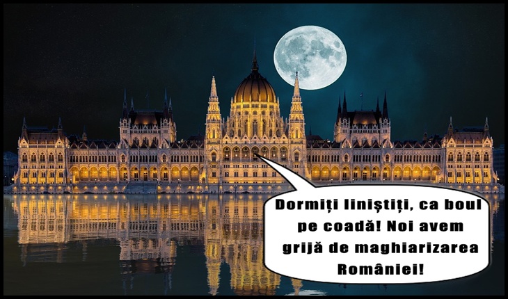 Tâmpiții care "conduc" țara ne transformă "pas cu pas" în Ungaria? Examenele de licență, doctorat și master, de acum și în maghiară!?