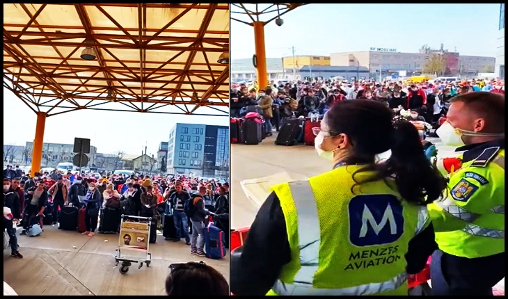 Dacă pleci să culegi sparanghelul pentru madam Merkel nu mai există coronavirus?, Foto: captură video Facebook / Catalina Porumbel