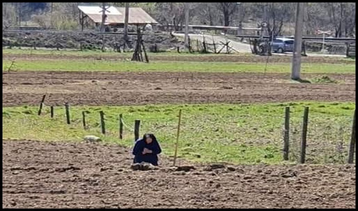 Nu-l pot scoate pe Dumnezeu din sufletul nostru cu ordonanțe militare: "România creștină într-o singură poză", Foto: facebook / Vasile Antonie Tămaş