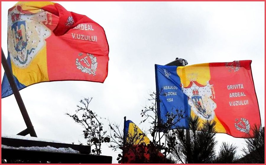 Steagurile Triumfătoare ale Regimentului 15 Infanterie prind din nou viață!, Foto: Facebook / Mihai Tîrnoveanu
