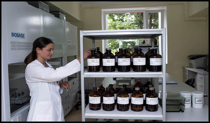 Sistemul de siguranță alimentară din Republica Moldova devine mai performant, Foto: ©FAO/ Dorin Goian