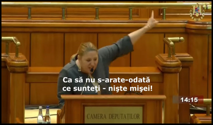 (VIDEO) Spectacol eminescian în Parlamentul României. Diana Iovanovici-Șoșoacă: "Ca să nu s-arate-odată ce sunteţi - nişte mişei!"
