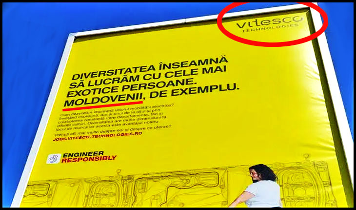Diana Iovanovici-Șoșoacă intervine în scandalul reclamei "Vitesco Technologies" care discriminează moldovenii: "Reprezentanta Vitesco îmi folosește expresia..."