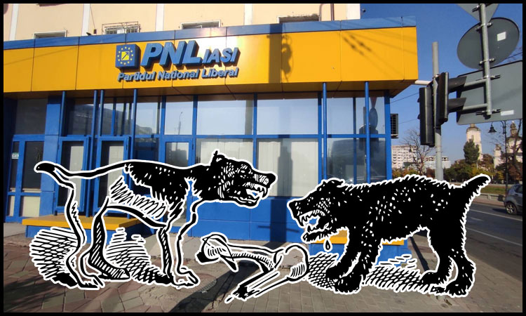 Bătaie ca în haitele de câini la filiala PNL Iași: se vânează postul de prefect