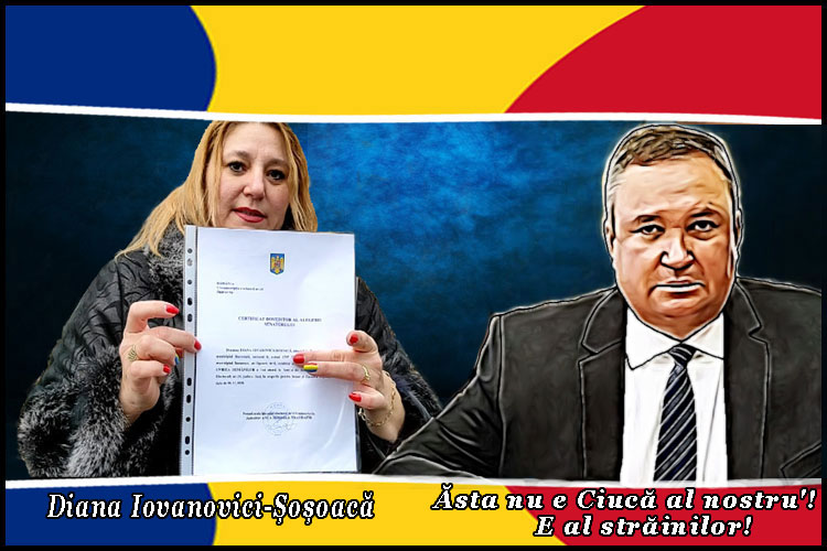Președintele S.O.S. România, Diana Șoșoacă: „Cândva românii vor înțelege că cele două proiecte de legi privind Unirea au oprit trasarea granițelor în interiorul României”