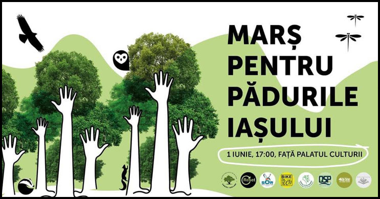 1 Iunie - Marş pentru Pădurile Iaşului!, Foto: Facebook / Codrii Iașilor