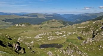 TRANSALPINA