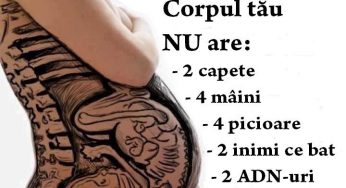 Întrebări rostite în taină